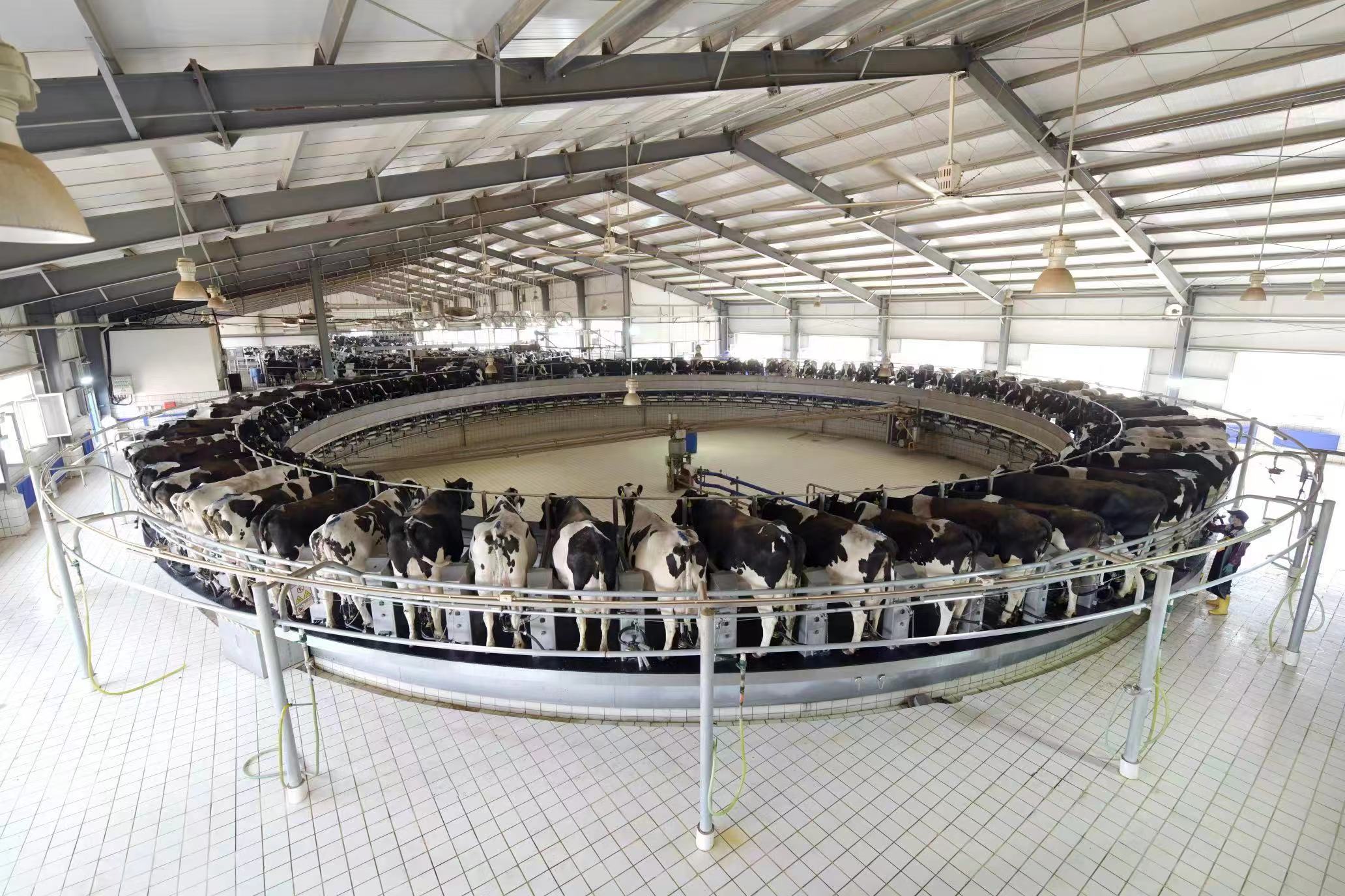 LETOU - 乐投(国际米兰)官方网站