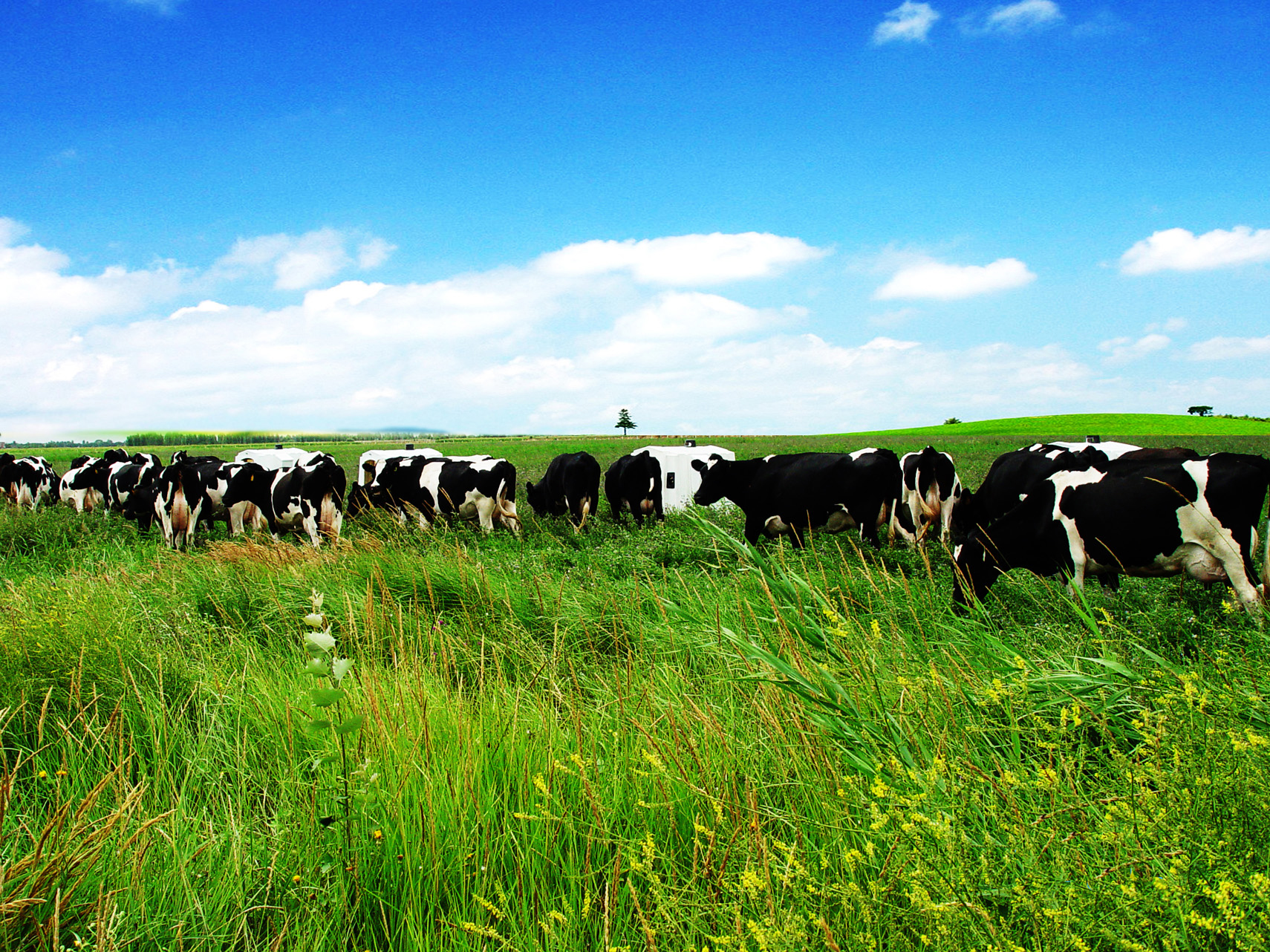 LETOU - 乐投(国际米兰)官方网站