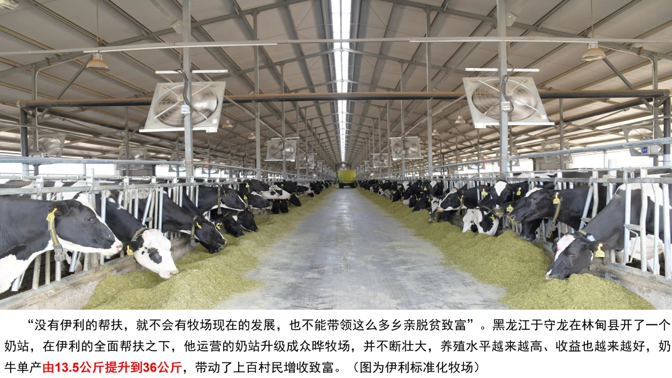 LETOU - 乐投(国际米兰)官方网站