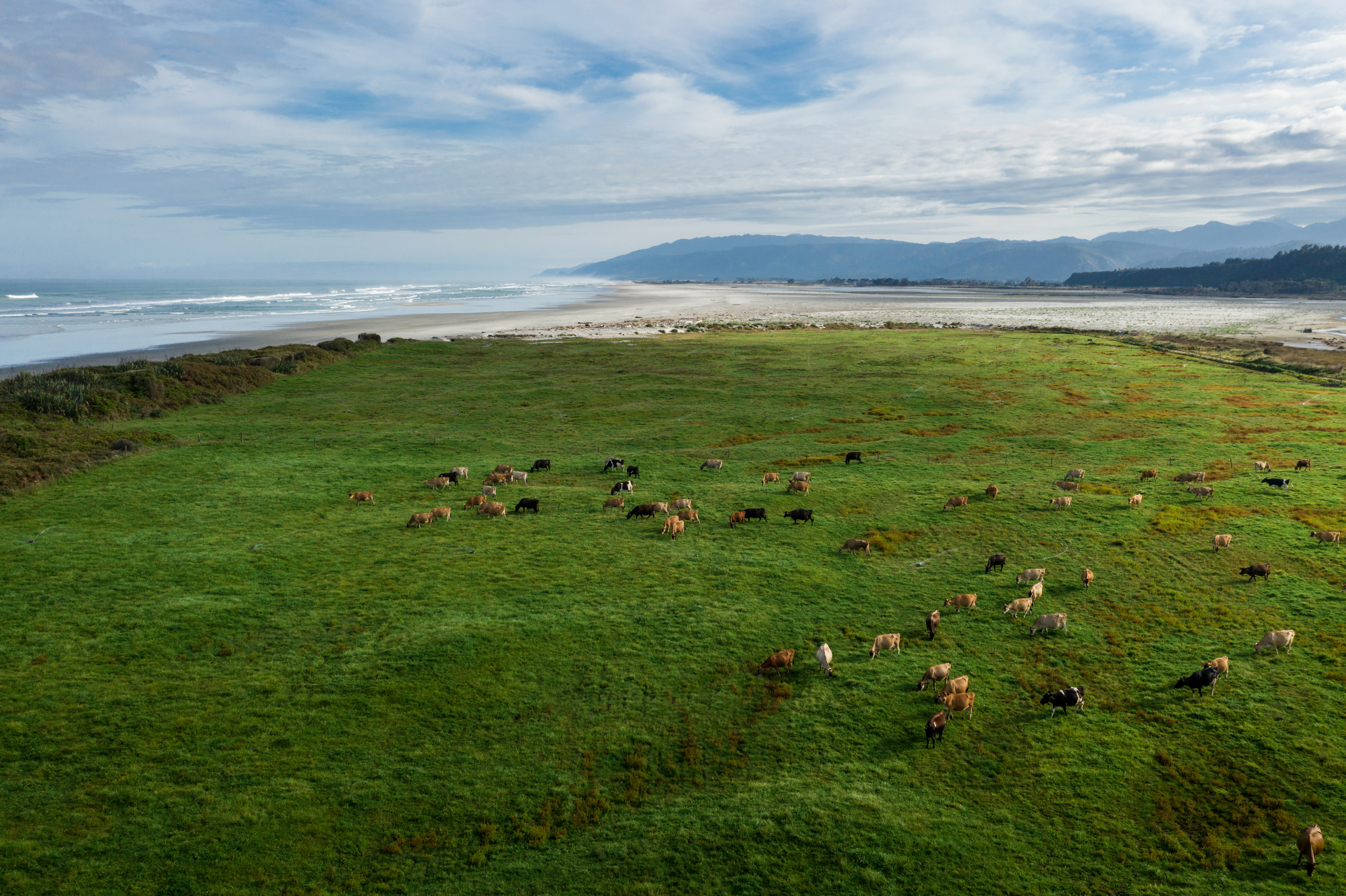 LETOU - 乐投(国际米兰)官方网站