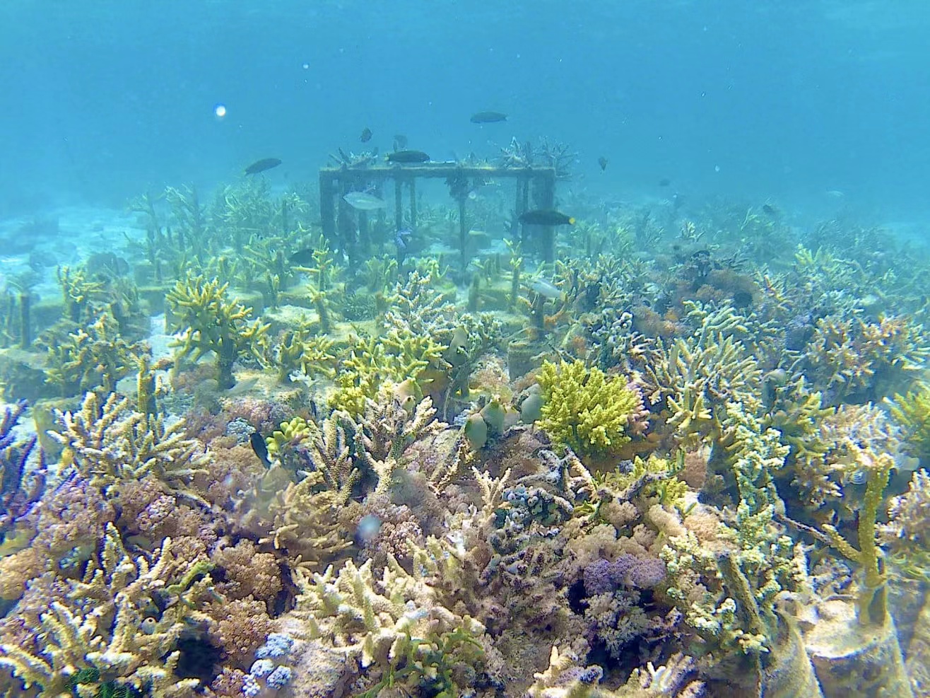 LETOU - 乐投(国际米兰)官方网站