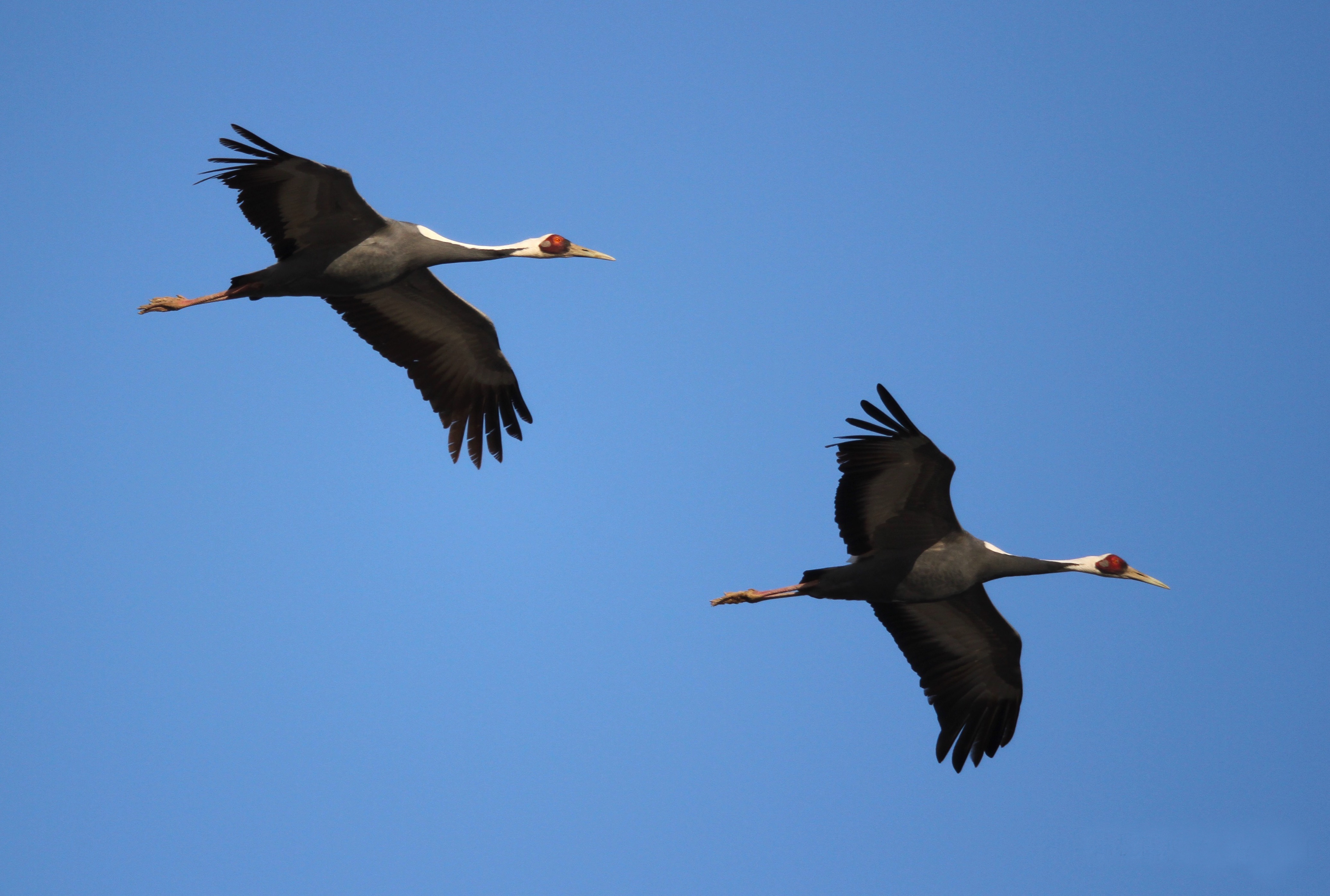 LETOU - 乐投(国际米兰)官方网站