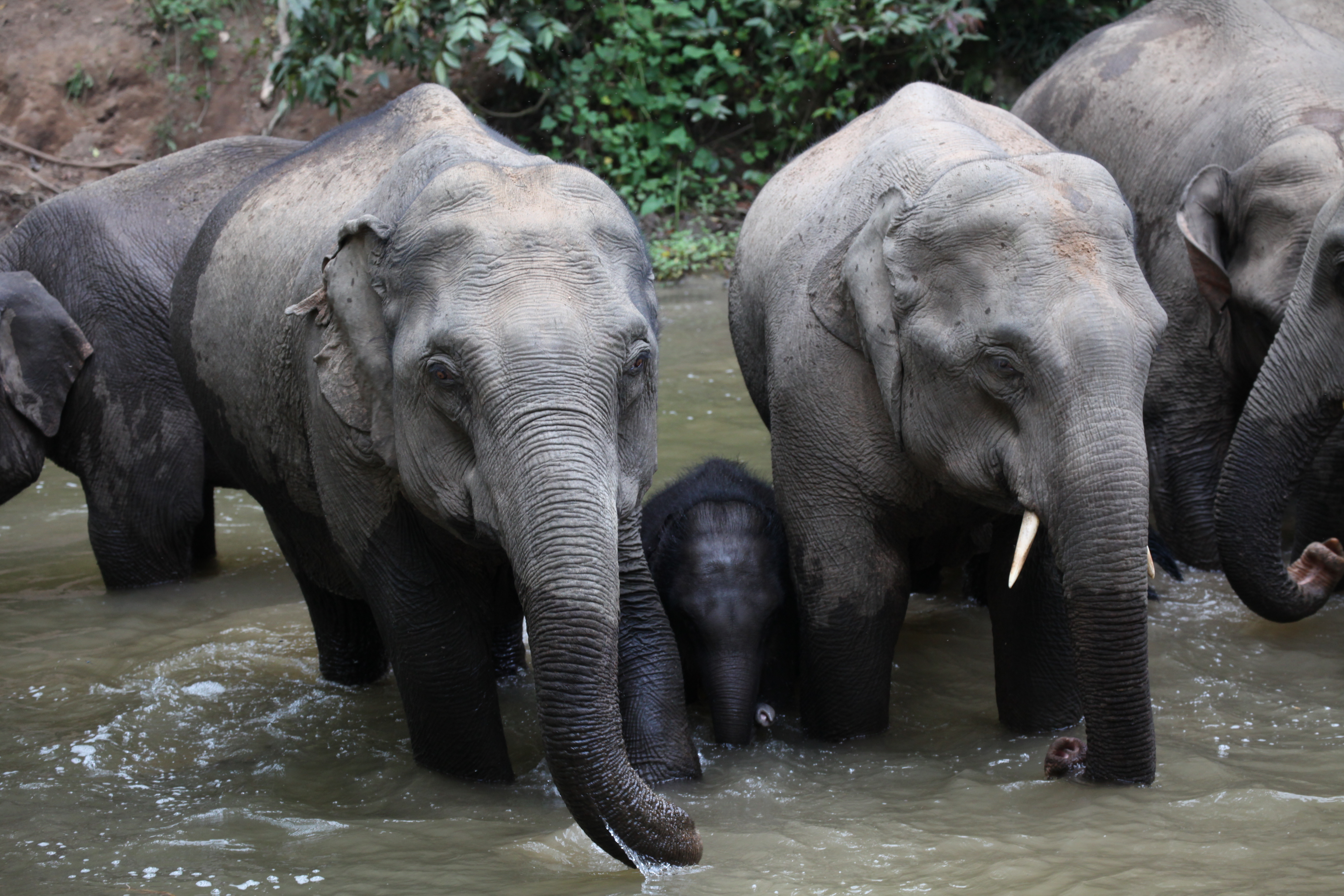 LETOU - 乐投(国际米兰)官方网站